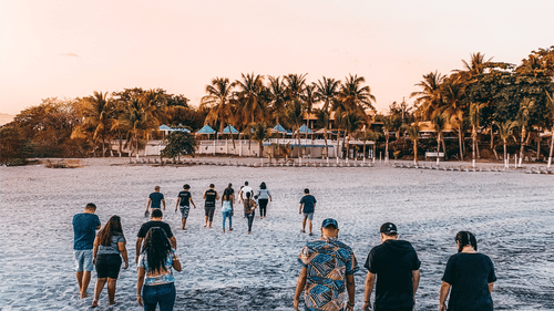 many people walking on beach with trees in the background