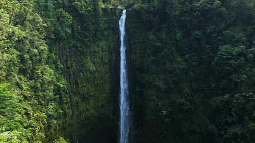 Fall near Chikmagalur