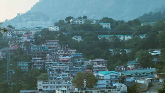 A hillside town in Kasauli with densely built homes and buildings surrounded by lush greenery and mountain slopes.