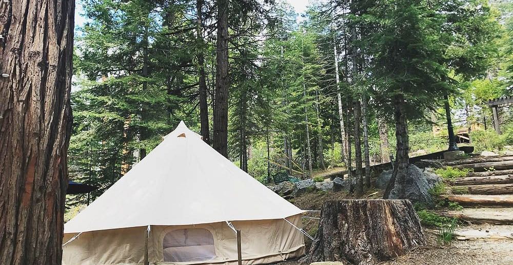 Exterior of a tent at Shaver Lake Village Hotel surrounded by trees.