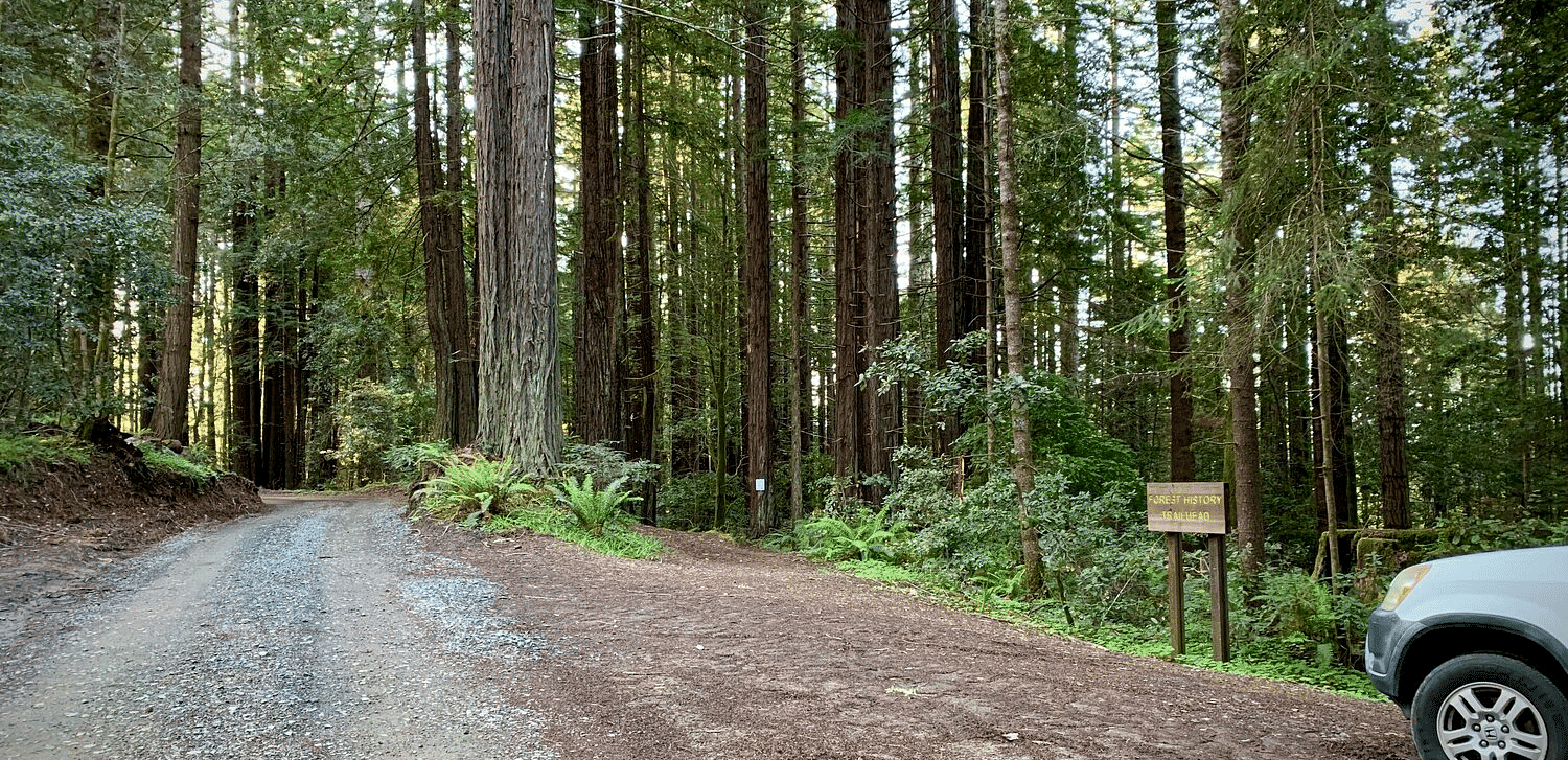 A dirt road leading into a dense forest, with a parked car and a wooden sign at the entrance.