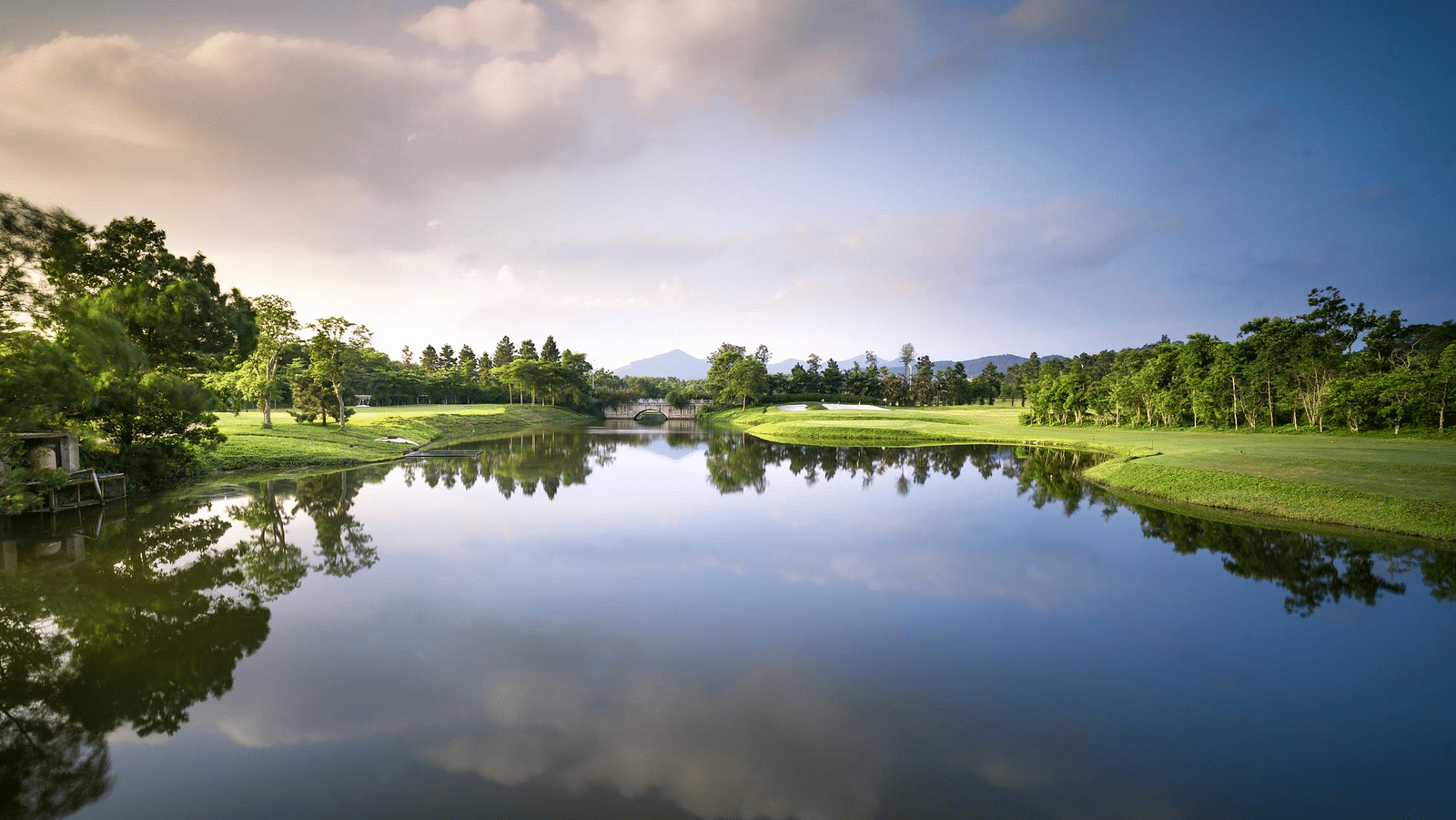 Image of a waterbody with plants in the background.