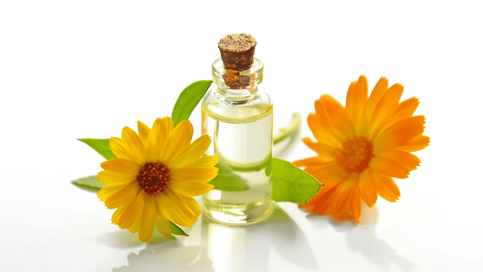 A glass bottle filled with an oil and two yellow flowers placed beside it.