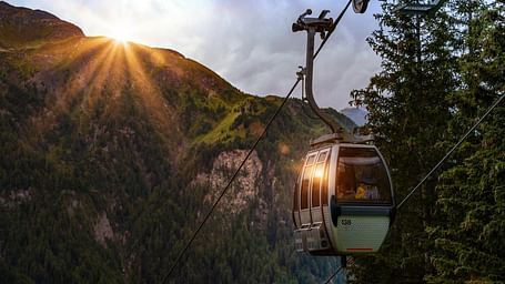Image of  a cable car going though a forest