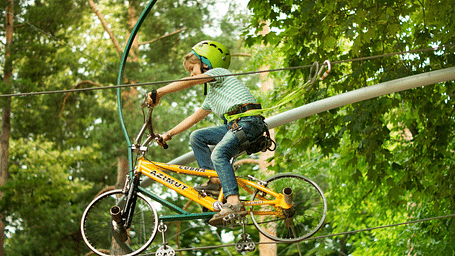 A person on a bicycle high above the ground on a narrow, elevated track amidst lush greenery. 