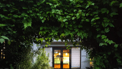 nature resort- the golden tusk, jim corbett