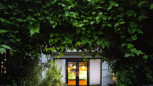 nature resort- the golden tusk, jim corbett