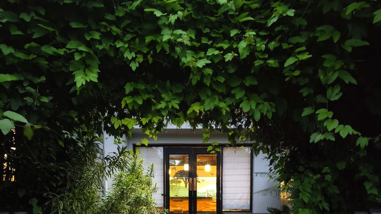 nature resort- the golden tusk, jim corbett