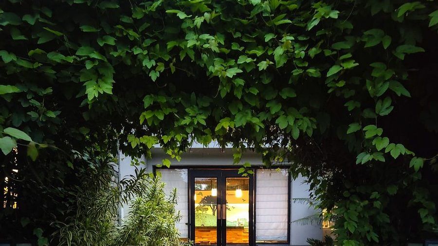 nature resort- the golden tusk, jim corbett