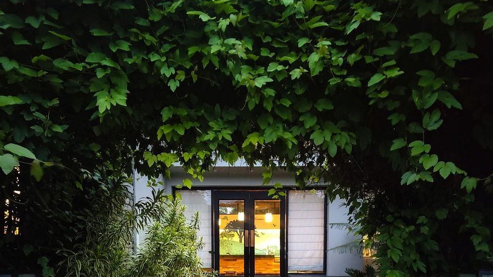 nature resort- the golden tusk, jim corbett