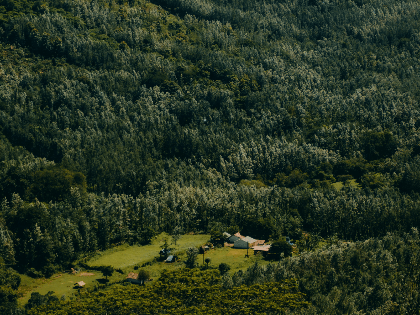 Aerial shot of a green valley with scattered clearings and dense forests.