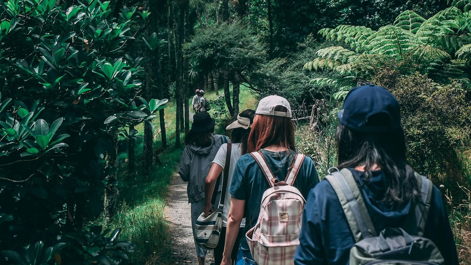 A group of people walking in a line through a forest, surrounded by tall trees and dappled sunlight filtering through the leaves.
