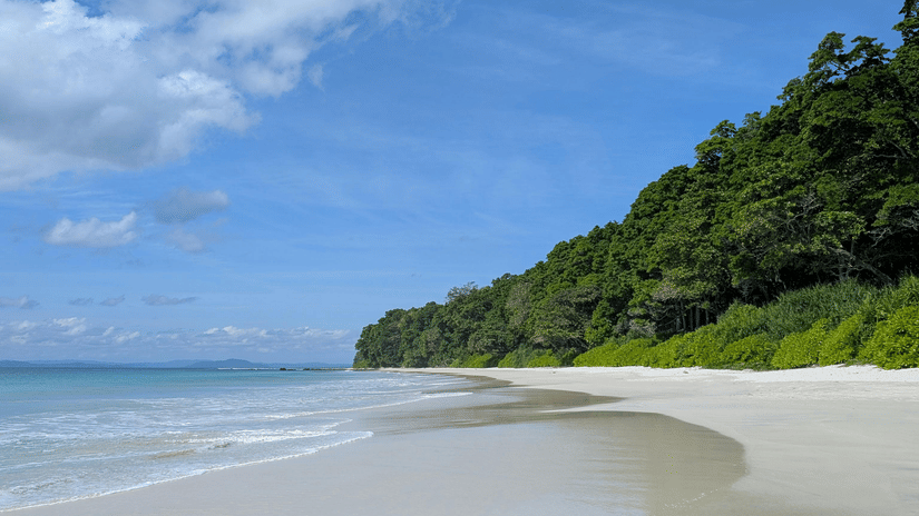 A pristine white sand beach meets a lush green forest under a bright blue sky with light clouds.
