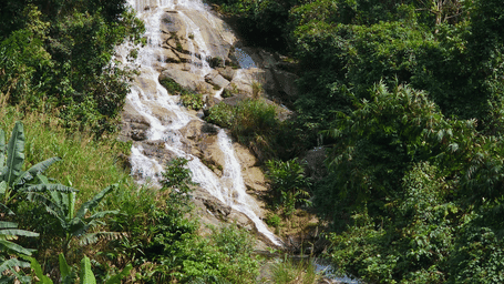 An overview of a waterfall from afar cascading down through rocks and flowing between forest cover.
