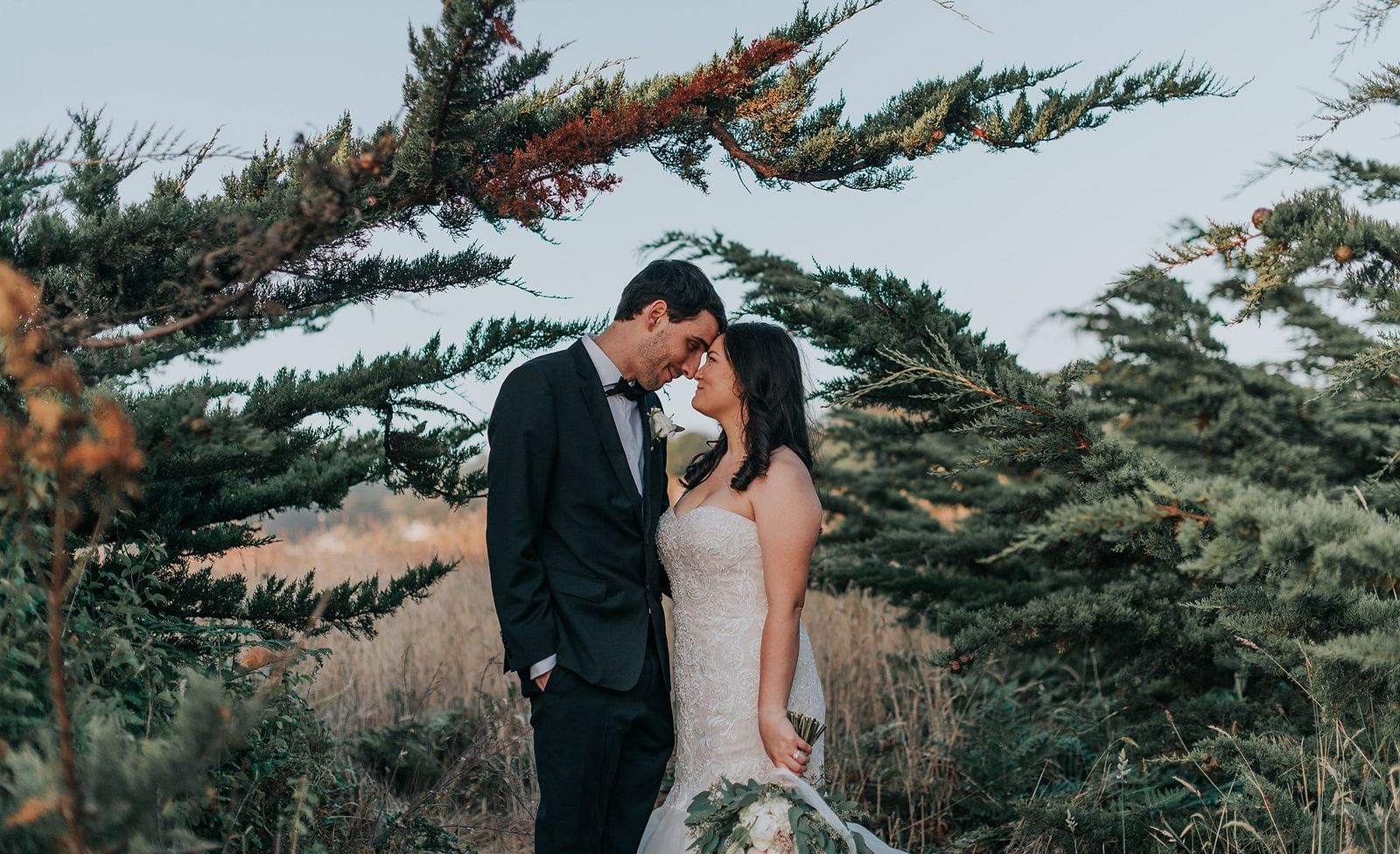 Bride and groom sharing a kiss, framed by lush greenery