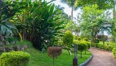 Image of a footpath with plants on the side at Coorg Jungle Camp Backwater Resort, Kushalnagar. 
