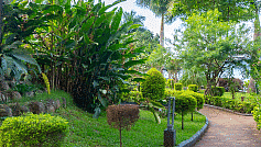 A footpath with trees and plants on the side at Coorg Jungle Camp Backwater Resort, Kushalnagar.