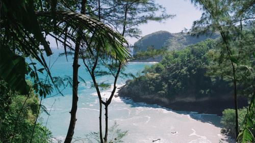 Scenic tropical beach surrounded by lush foliage