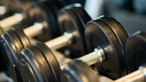 A row of dumbbells placed on a rack at a gym