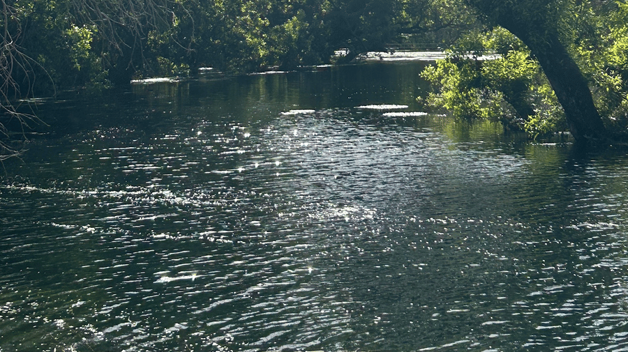 River at Surya Bagh