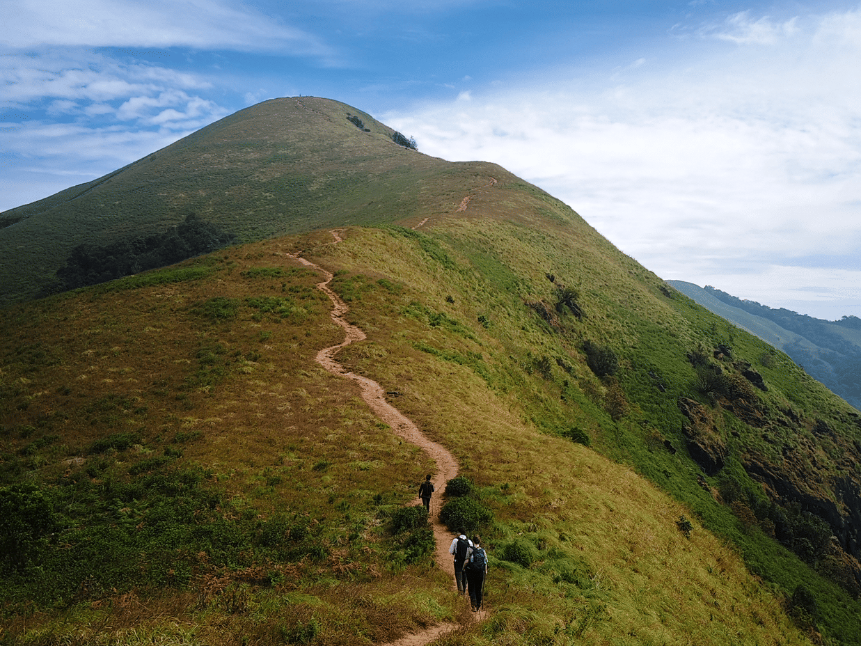 IMG 20251129 105244.jpg (1)