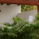Solana boutique B&B Zihuatanejo Azulillo open air shower Solana BandB Zihuatanejo Mexico