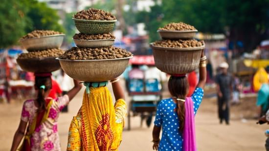 Village Life - Ajabgarh - Surya Bagh - Experiences