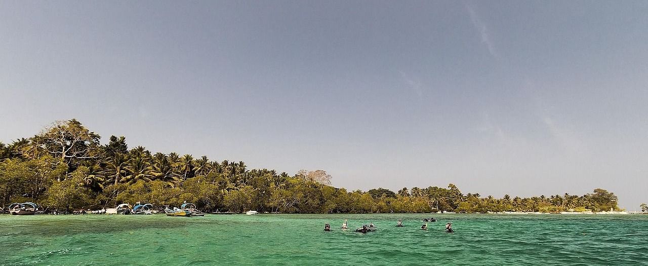 Calm green-blue sea with people swimming near a forested coastline under a hazy sky.