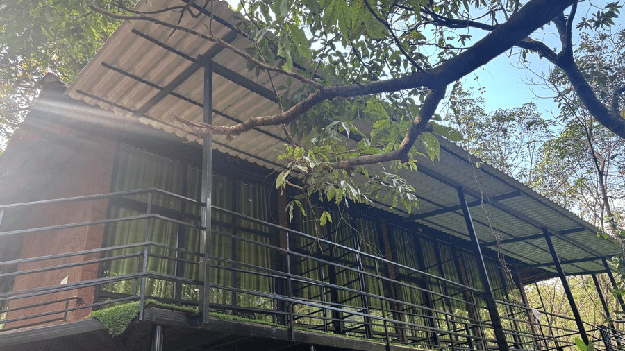 Elevated treehouse surrounded by lush greenery at Holistic Eco-Resort, Kannur.