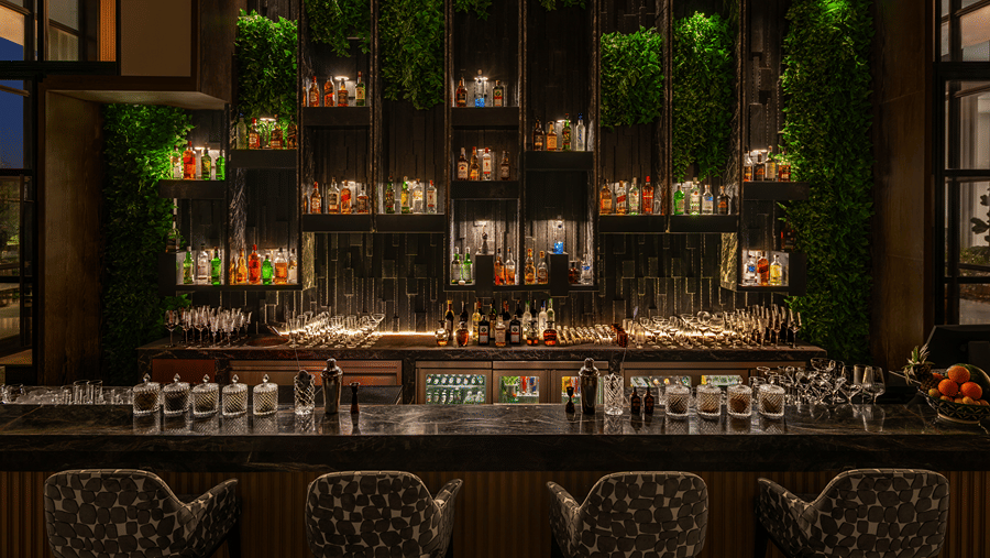 Eden bar with a well stocked shelf and hanging greenery above the counter at The Residency Signature Madurai.