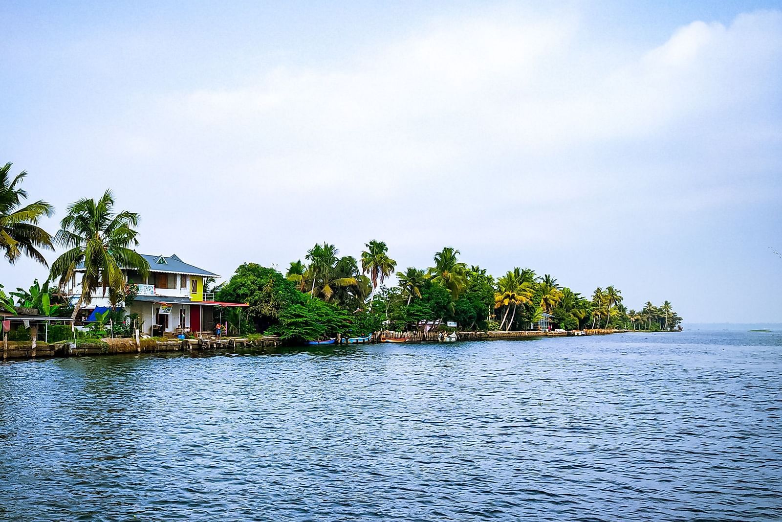 The backwaters of Alleppey with an island with lush greenery