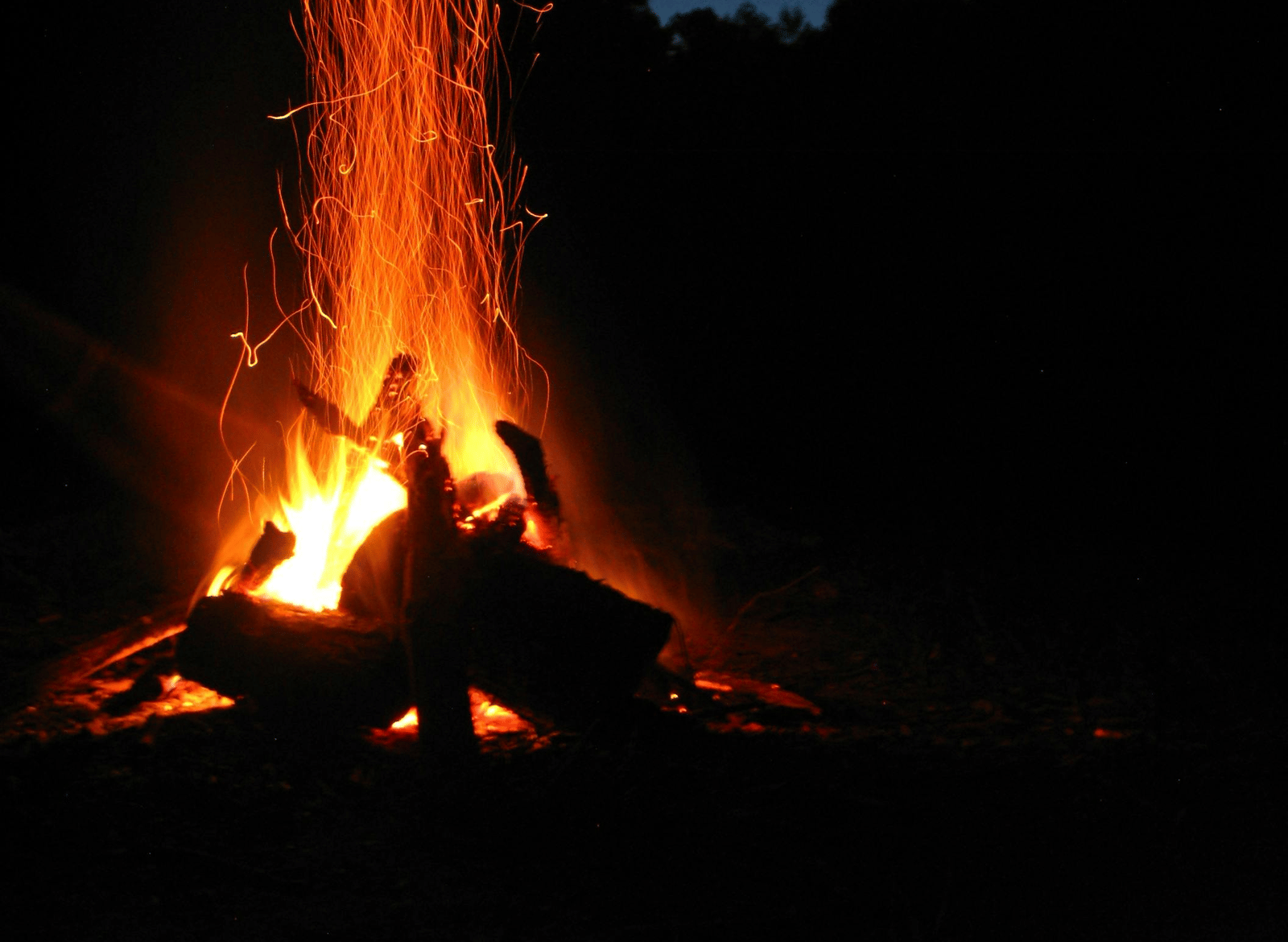 pexels-pixabay-266416