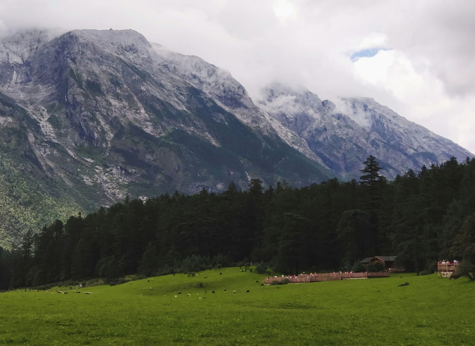 A dramatic view of cloud-covered mountains rising above a dark pine forest and a green meadow.
