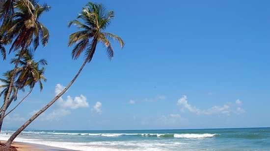 Colva Beach, Nearby Attractions, Holiday Packages in Goa, Lotus Eco Beach Resort Benaulim Goa