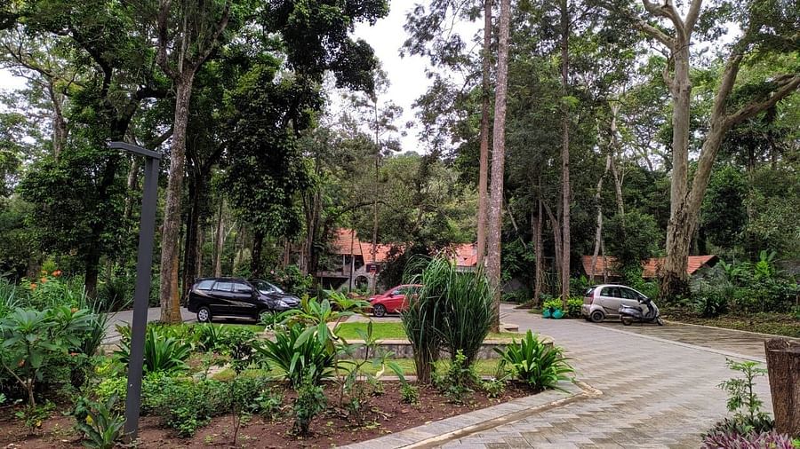 The Birchwood Retreat - view of the parking lot