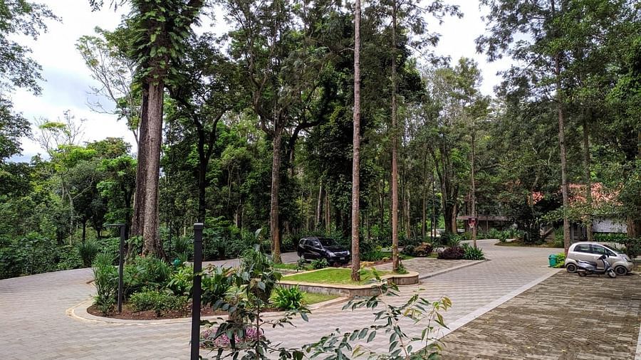 The Birchwood Retreat - view of the property's parking area