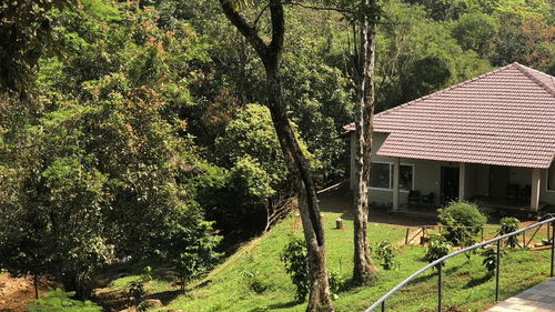 A hillside cottage surrounded by dense forest, offering a tranquil escape into the nature. - Abad Brookside Lakkidi, Wayanad