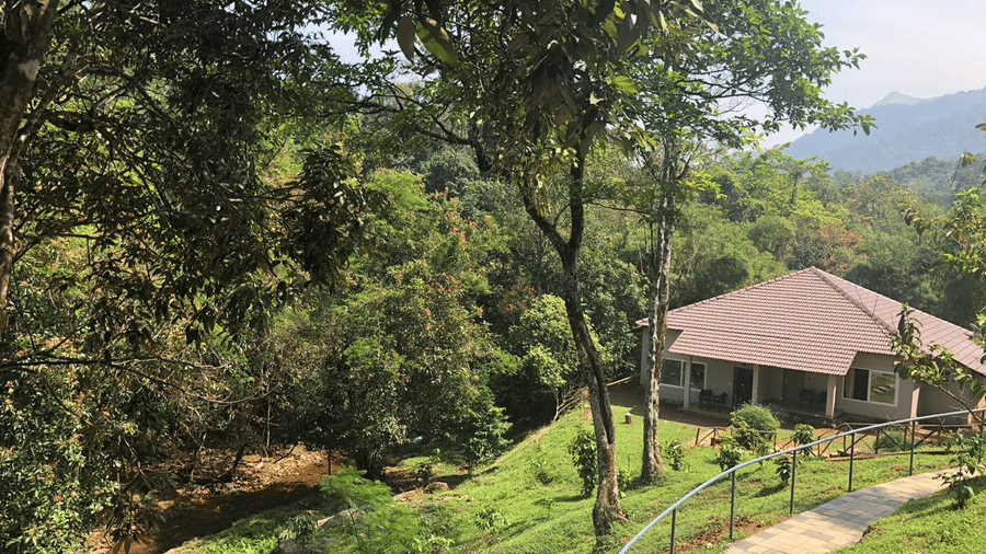 A quaint bungalow set on a hillside, with a winding path leading to the entrance, surrounded by tall trees.- Abad Brookside Lakkidi, Wayanad
