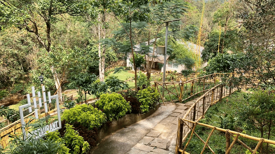 A winding stone pathway leading to a small house surrounded by lush greenery.- Abad Brookside Lakkidi, Wayanad