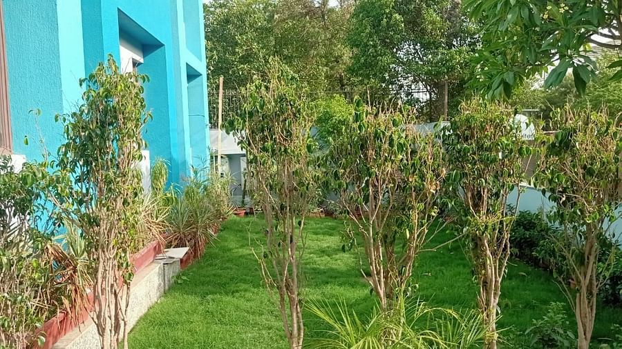 Garden 2