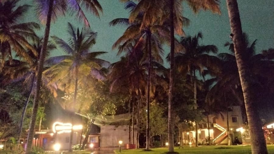 Palm-lined garden pathway beautifully lit in the evening at Fantasy Golf Resort.