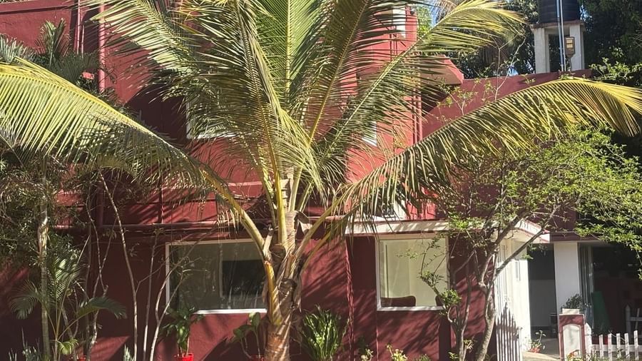 Resort building surrounded by palm trees and landscaped gardens at Fantasy Golf Resort.