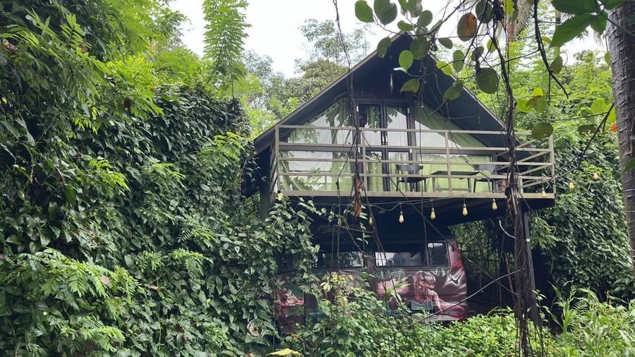 Vine-covered rustic cottage nestled in dense tropical jungle at Holistic Eco-Resort, Kannur