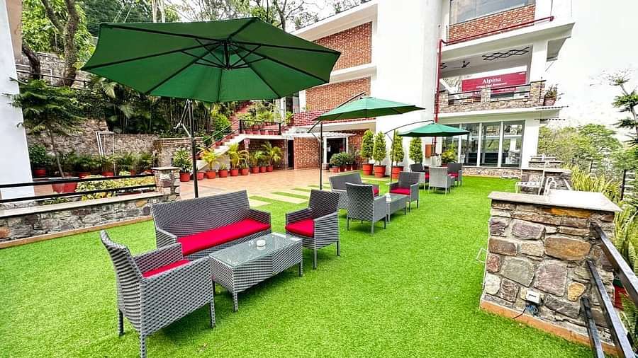 Lawn 2