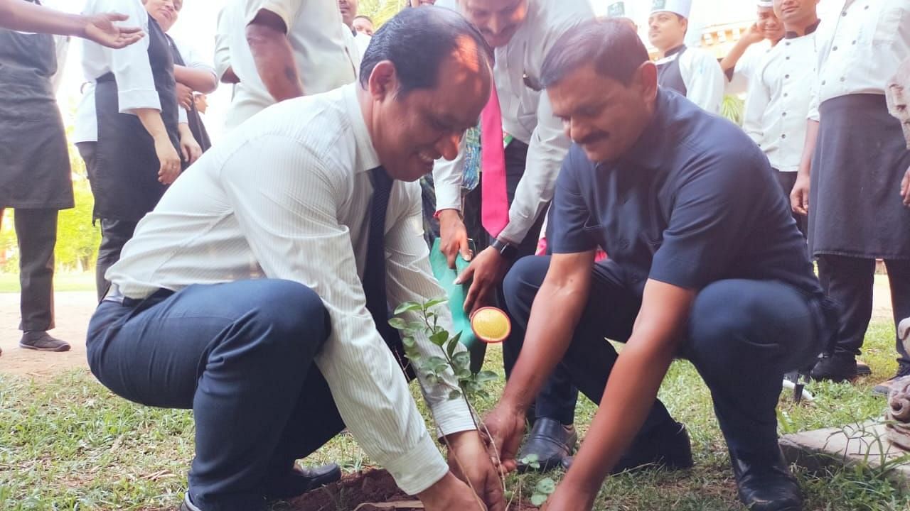 People planting and watering saplings at Swosti Resorts
