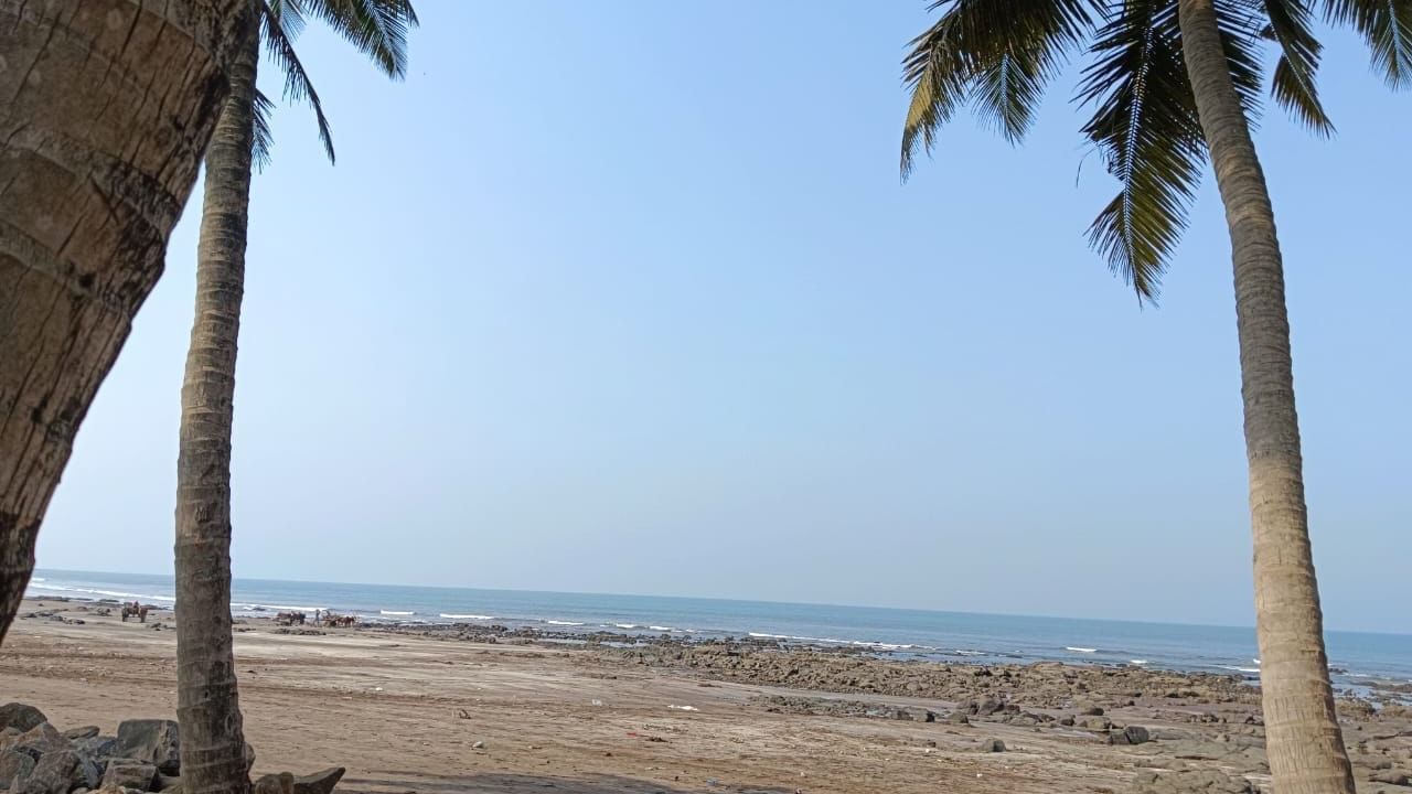 A low-angle shot of a wet beach with dark patches on the sand and foamy waves rolling in - Cabana