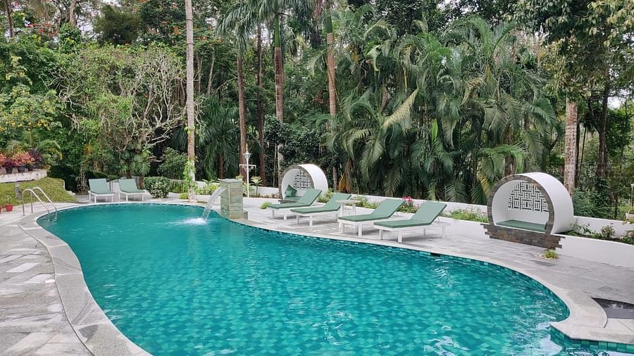 Swimming pool with sun loungers and palm trees in a tropical setting - BluSalzz Collection - Tranquil Resort, Wayanad