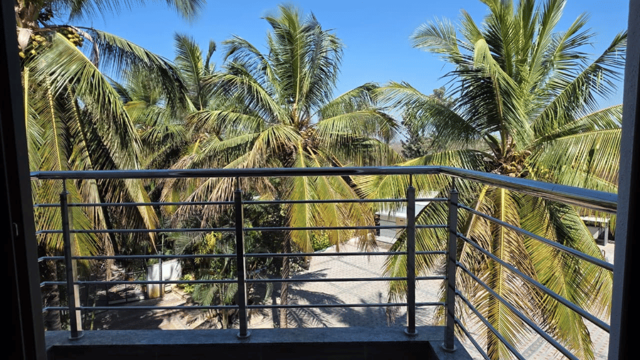 A balcony with a metal railing overlooking tall palm trees and a bright blue sky.