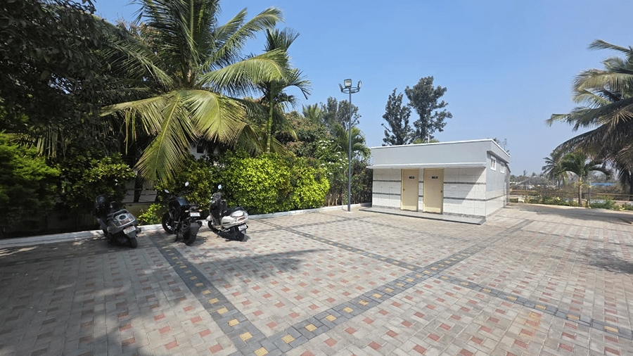 A stone paved pathway lined with palm trees under a clear sky, seen from a closer angle in the courtyard.