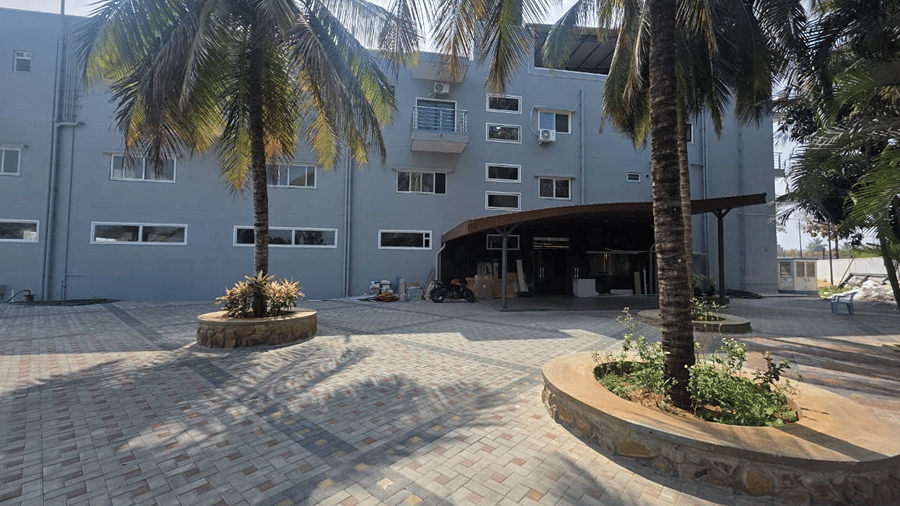 A tall palm tree standing in a stone paved courtyard in front of a large grey building.